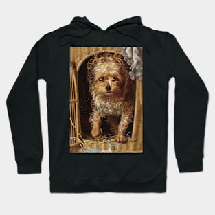 Darby in His Basket Kennel by Frederick Sandys Hoodie